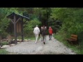 Akron-Summit County Public Library in Richfield Opens New Trail