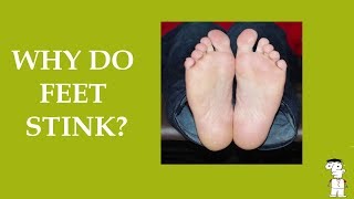 Why Do Feet Smell And How To Fix It