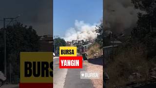 Son Dakika Bursada Orman Yangını Çıktı Yangın Rüzgarı Etkisiyle Büyüyor
