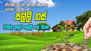 Vastu Tips For Money Plants