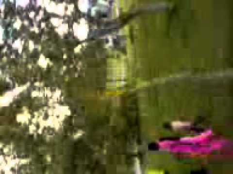 D:\Local Disk (E)\Local Disk (D)\shegaon\camera\MOV00005.3gp