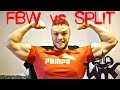 FBW czy SPLIT - Jaki Trening Wybrać