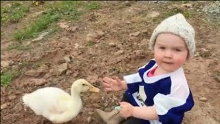 Funny Baby Video 2020_Funny Baby With Animals Fails Moments|funny videos hks #2