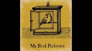 Watch XTC My Bird Performs video