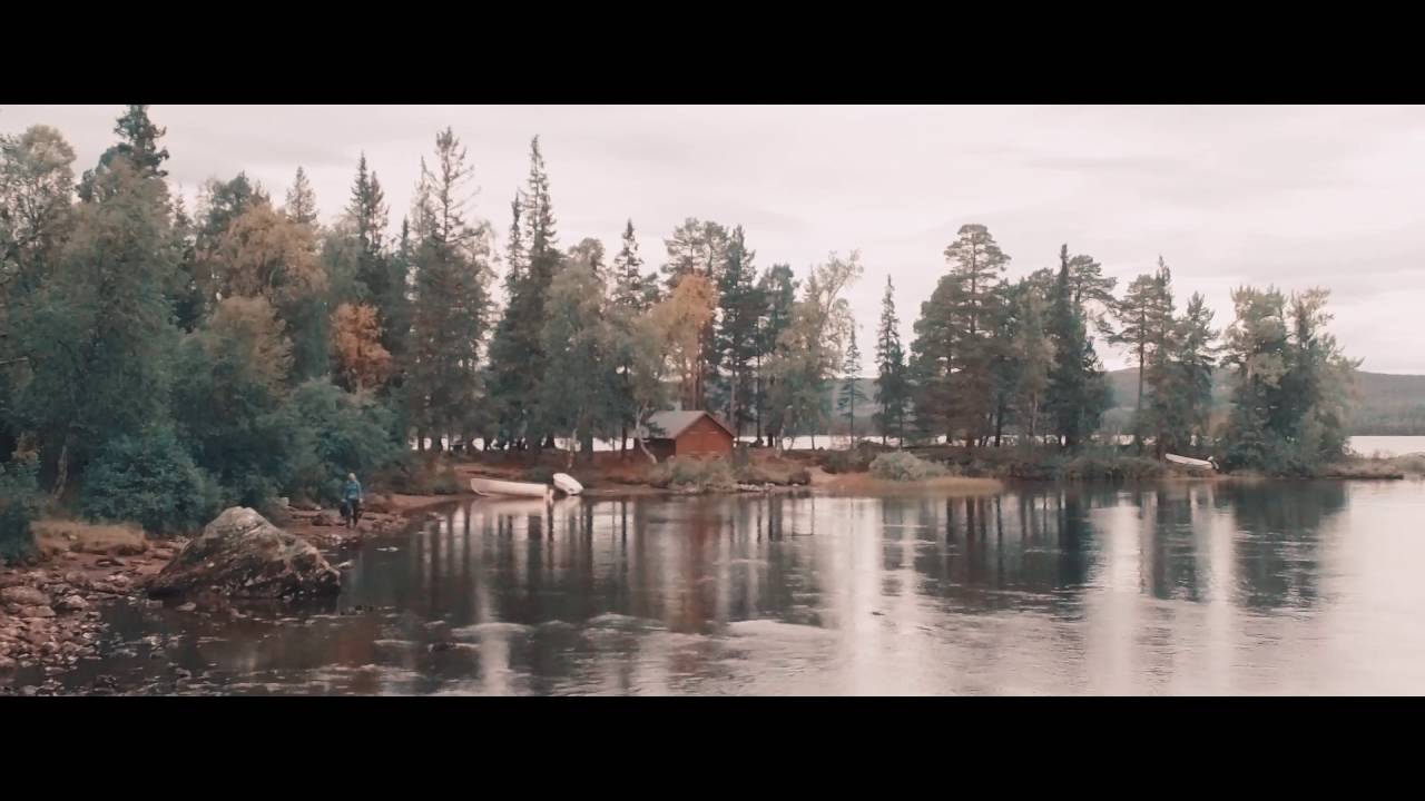 All Videos