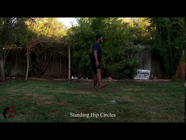 Standing Hip Circles