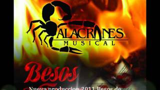 Watch Alacranes Musical Dime video