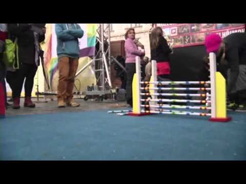 Raw: Horse Jumping Inspires 'Bunny Hop' Raw: Horse Jumping Inspires 'Bunny Hop' klip izle