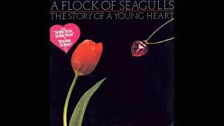 Watch A Flock Of Seagulls Story Of A Young Heart video