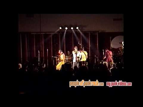 Alarm Bells And Fuck-Ups Video
