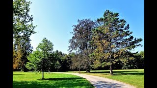 Calm Piano Music 24 7 Study Music Focus Think Meditation Relaxing Music Calm Piano Music 24 7 Study Music Focus Think Meditation Relaxing Music