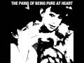 The Pains of Being Pure at Heart - Young Adult Friction - (3 of 10)
