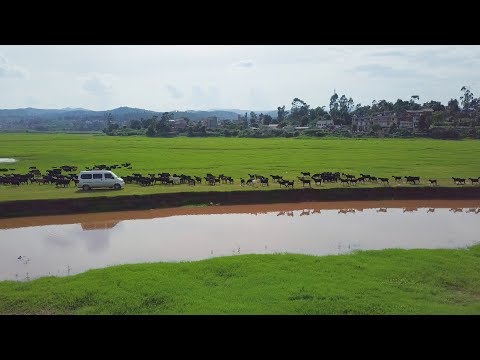 【环华十年】面包车旅行第839天:云南楚雄南华县-野生菌王国,到这里千万别错过野生菌火锅 【环华十年】面包车旅行第839天:云南楚雄南华县-野生菌王国,到这里千万别错过野生菌火锅 #1