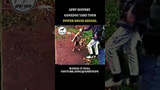 American Gamedog Kennel Tour - Apbt History