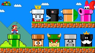 Mario Dont Fall Into The Wrong Custom Pipe All Bosses