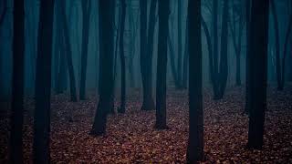 Two Sins - Deep Forest