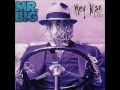 Mr Big - The Chain.