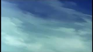 Battle Of The Planets Or G-Force And Gatchman Firey Phoenix