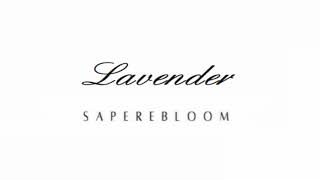 Watch Sapere Bloom Lavender video