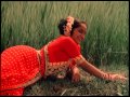 Paayum Pulli - Aappa Kada Song