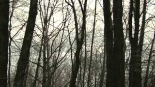 Looking for Alaska movie trailer (high definition)