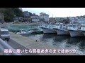 篠島 漁師の宿 民宿あきら 新鮮な海の幸満載