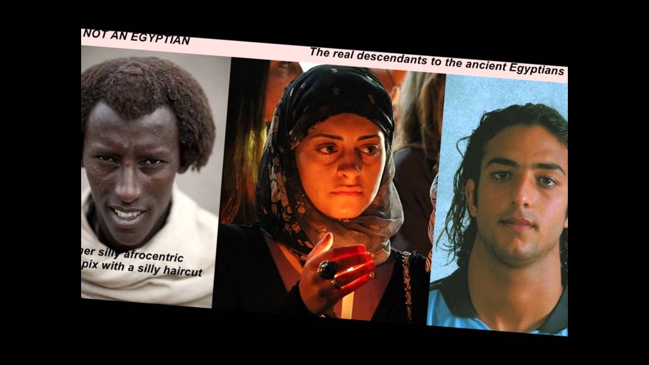egyptians were black dna egyptians were black dna