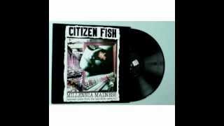 Watch Citizen Fish Next Big Thing video