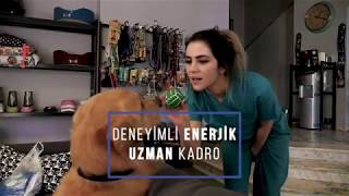 Oran City Veteriner Kliniği Tanıtım Filmi ( Pisi Film)