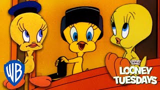 Looney Tuesdays | Top 10 Cutest Moments from Tweety Bird 🐥 | Looney Tunes | @WB 