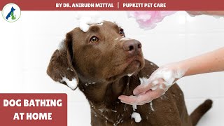 Pet Bathing & Grooming: Labrador Bathing At Home | @Pupkitt Pet Care