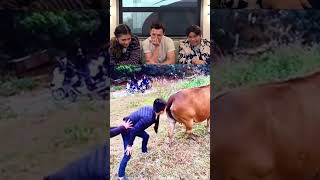 Tom Holland, Zendaya And Jake Batalon React To Viral Videos Part 73