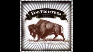 Watch Foo Fighters Skin And Bones video