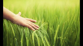Heartland Fellowship April 24, 2022