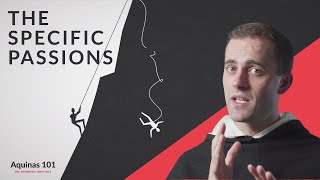 The Specific Pions Aquinas 101