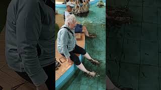 What Happens When Fish Nibble Your Feet?