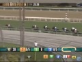 stakes