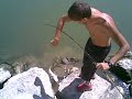 Video de Pesca de carpas