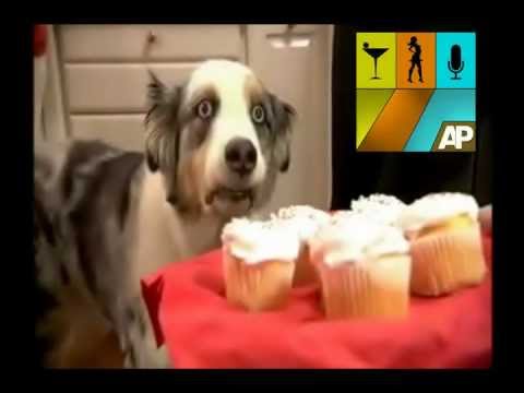 The Avon Players--Off The Shelf--Official Video
