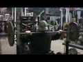 delts