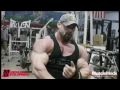 delts