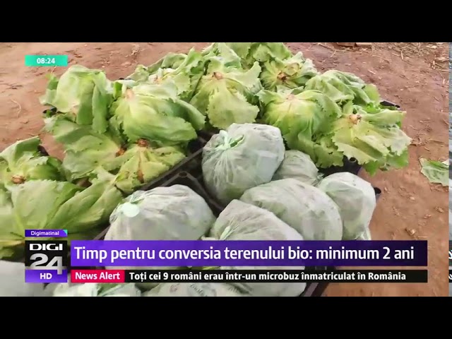 DIGI24 - Știi ce mănânci?