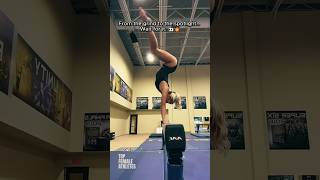 Olivia Dunne From The Grind To The Spotlight