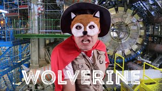 Animal Facts: Wolverine