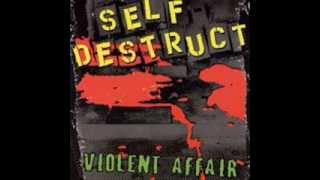 Watch Self Destruct Vicious Cycle video