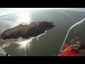 Gower