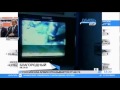 останки военных кораблей британского флота.