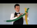 2 Balloon USF Bull