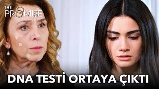 Cavidan dna testini ortaya çıkarıyor | Yemin 216. Bölüm