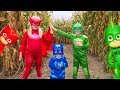 PJ MASKS Assistant Owlette and Gekko Batboy LOST In a Corn Ma...